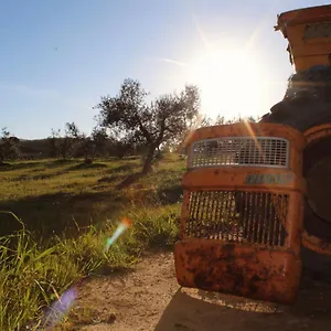 Séjour à la ferme Agricampeggio La Piaggia -, Piombino